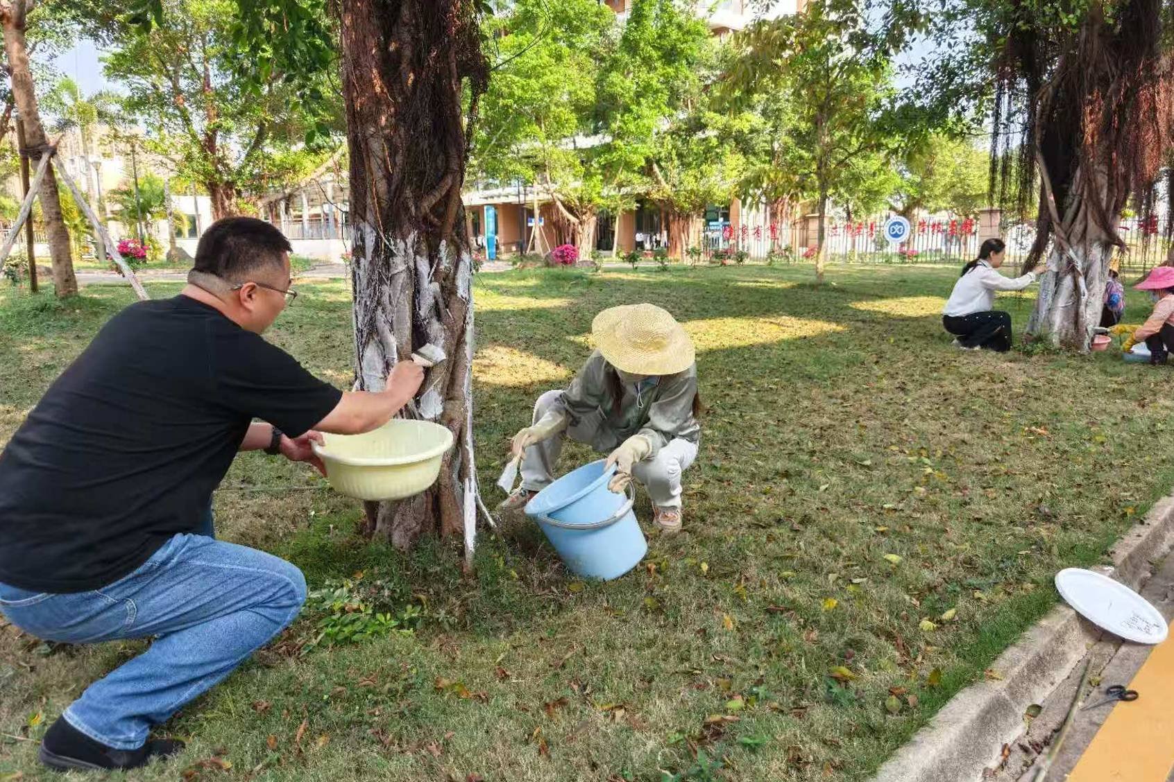 總務(wù)處組織開展樹木涂白養(yǎng)護專項工作